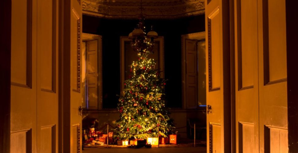 A Christmas Tree with doors on either side 